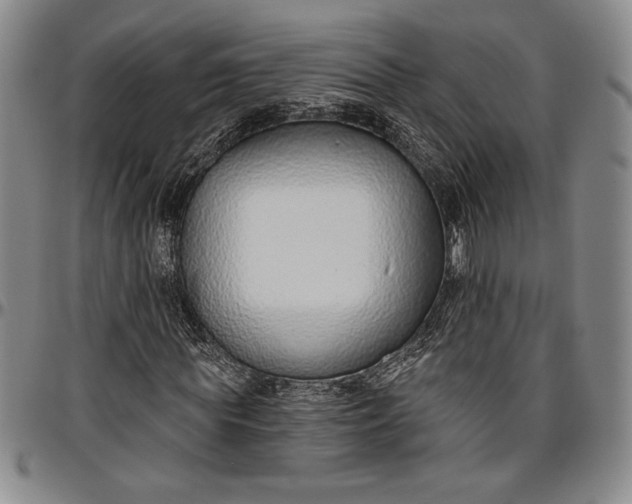 X0000096630819200802191154