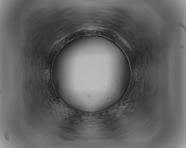 X0000096630821200802191154
