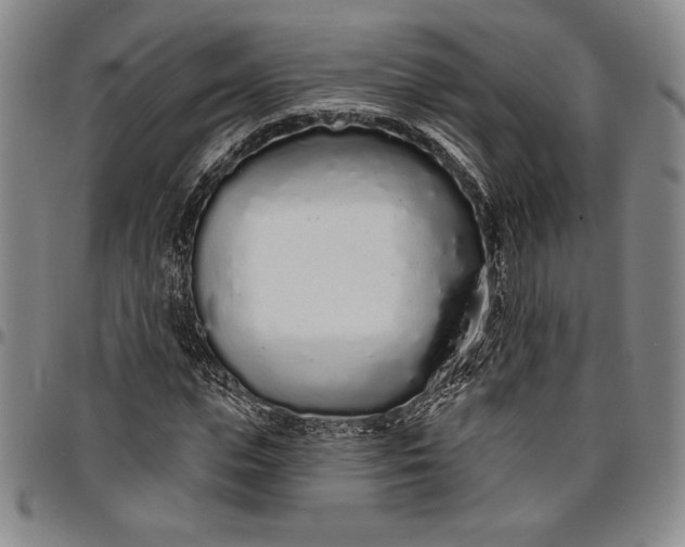 X0000096630823200802191154