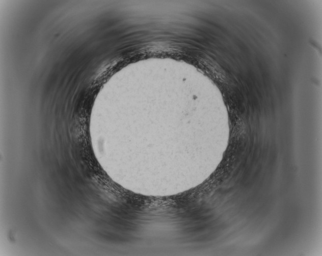 X0000096630824200802191154