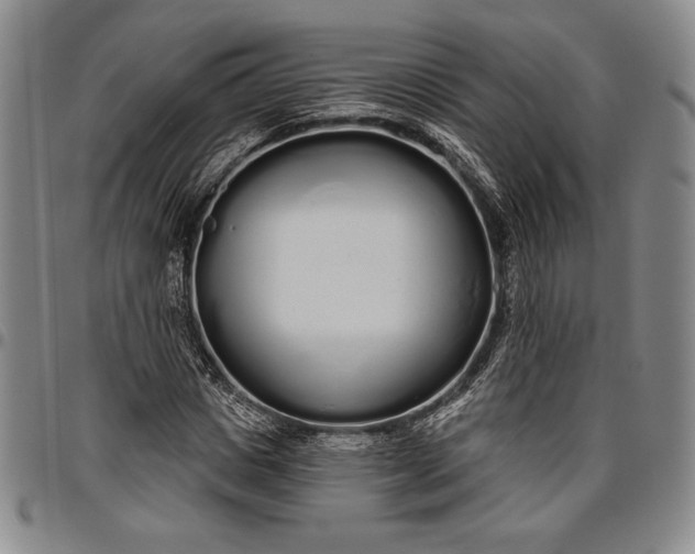 X0000096630825200802191154