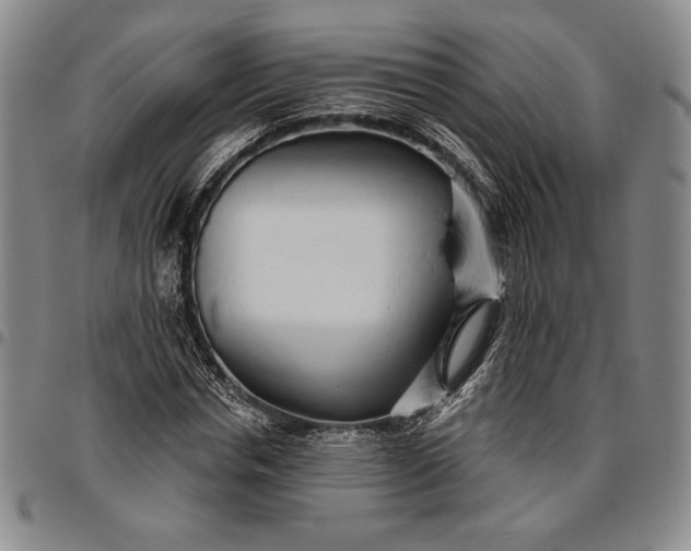 X0000096630826200802191154