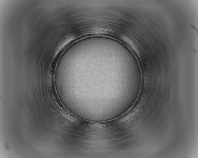 X0000096630827200802191154
