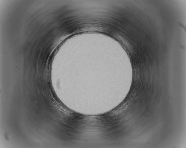 X0000096630828200802191154