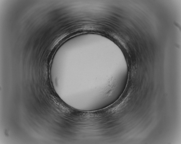 X0000096630829200802191154