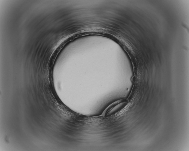 X0000096630830200802191154