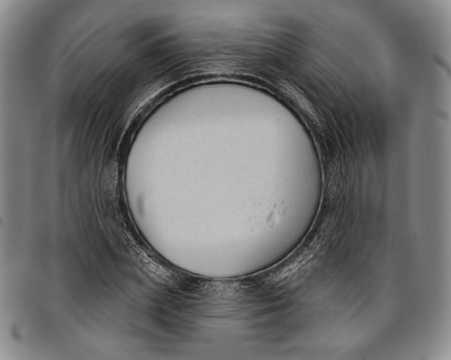 X0000096630831200802191154
