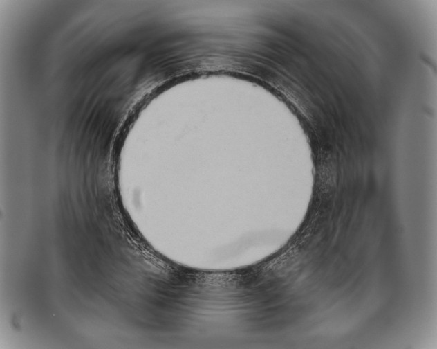 X0000096630832200802191154