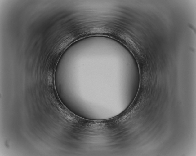 X0000096630833200802191154