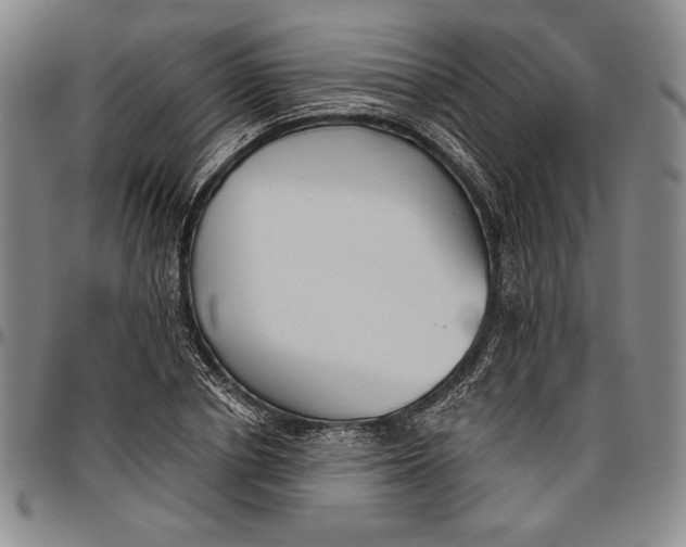 X0000096630834200802191154