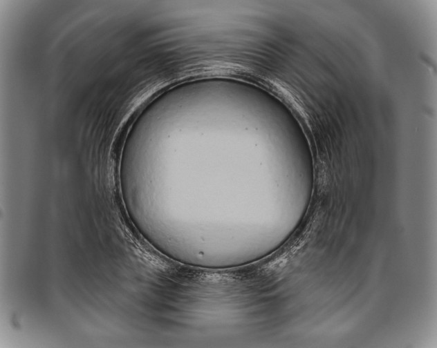 X0000096630835200802191154
