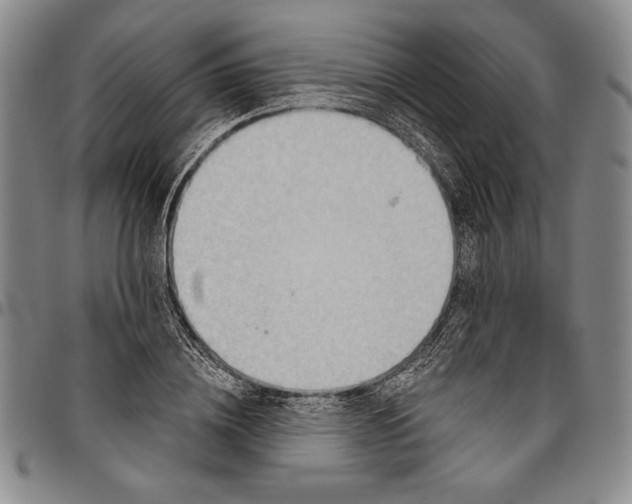 X0000096630836200802191154