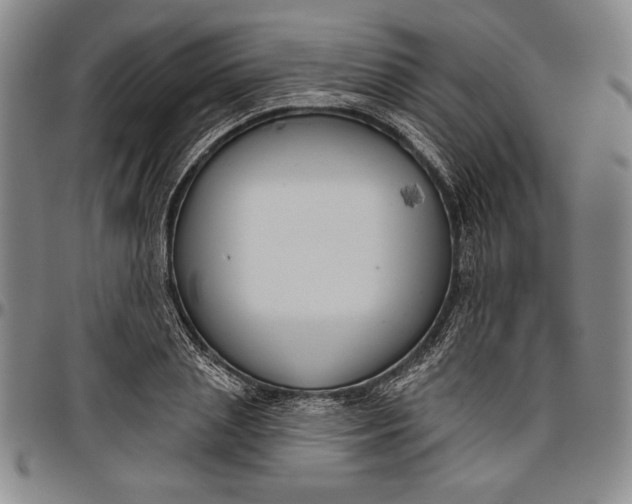 X0000096630837200802191154