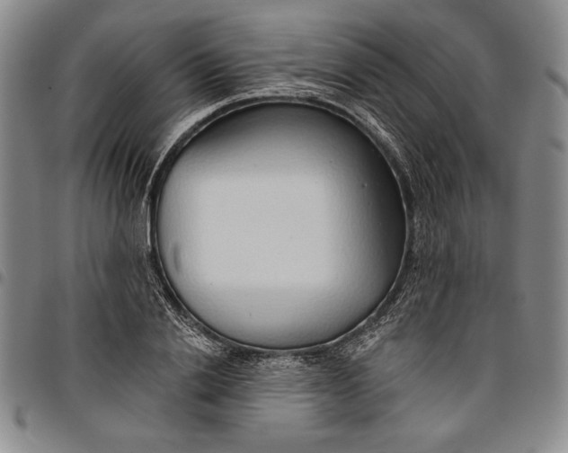 X0000096630838200802191154