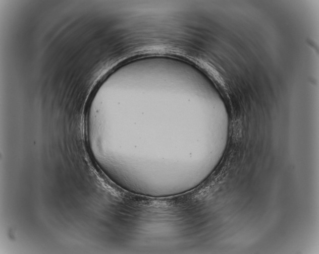 X0000096630839200802191154