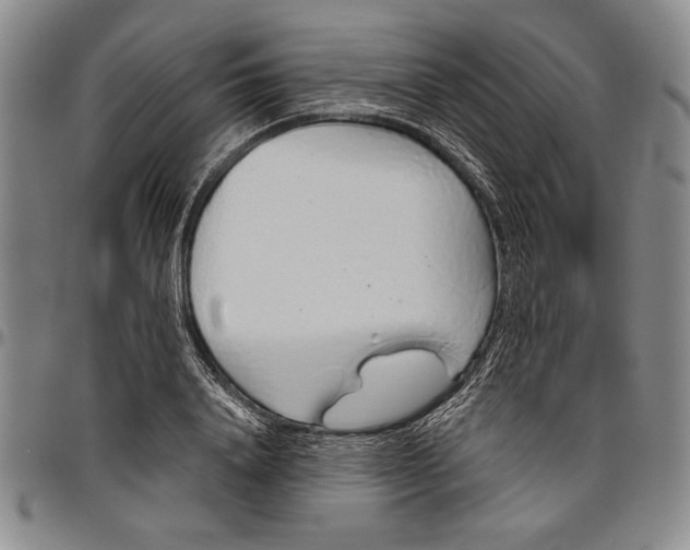 X0000096630840200802191154