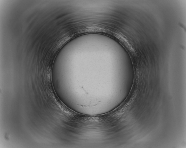 X0000096630841200802191154