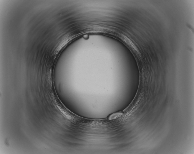 X0000096630842200802191154