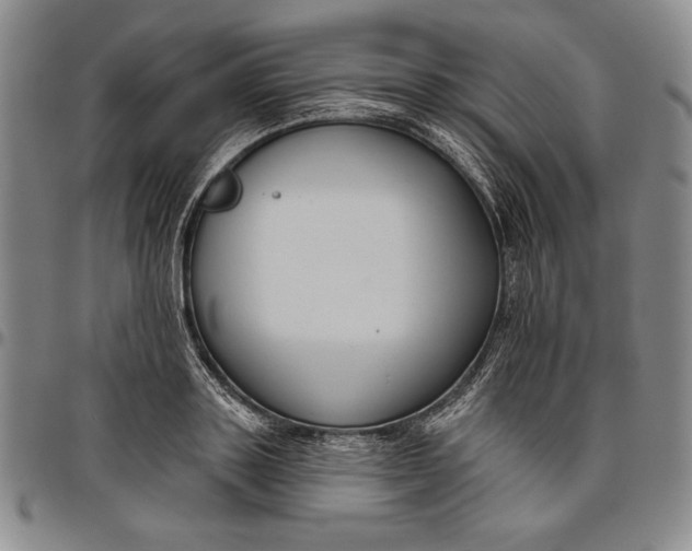 X0000096630843200802191154