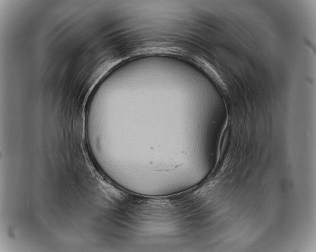 X0000096630844200802191154