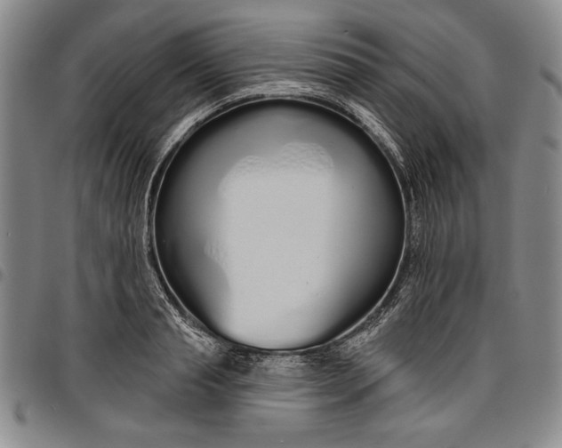 X0000096630845200802191154