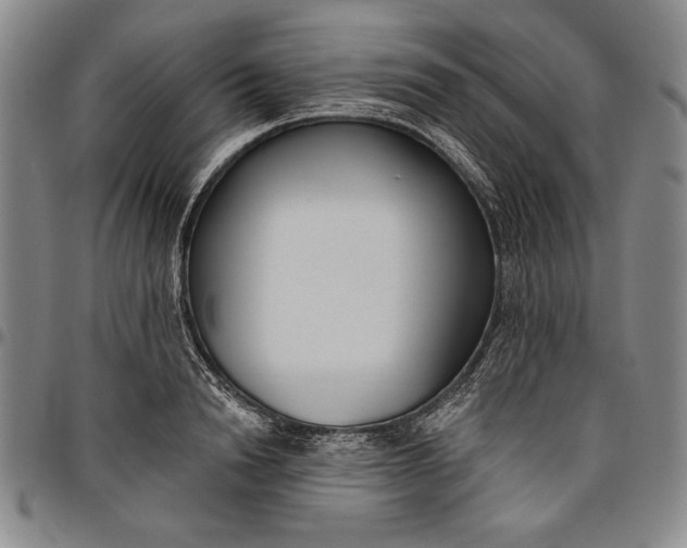 X0000096630846200802191154