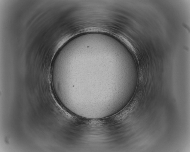 X0000096630847200802191154