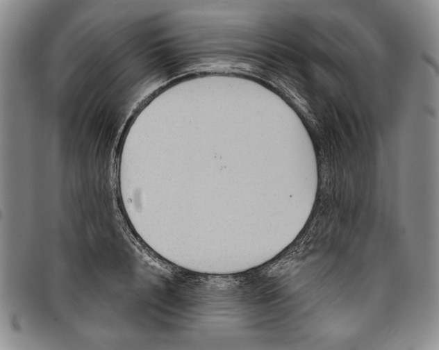X0000096630848200802191154