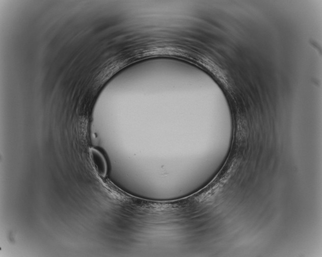 X0000096630849200802191154