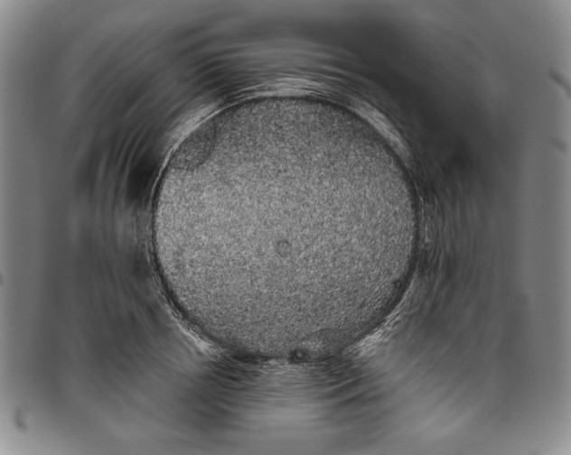 X0000096630850200802191154