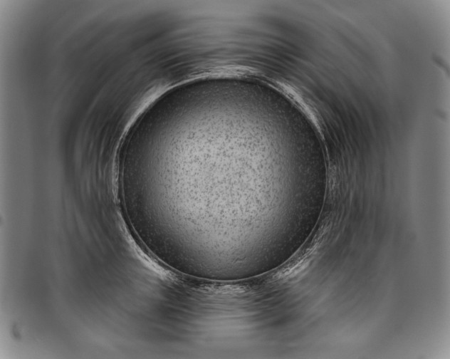 X0000096630851200802191154