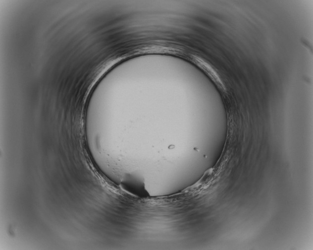 X0000096630852200802191154