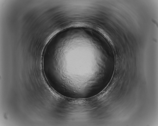 X0000096630853200802191154