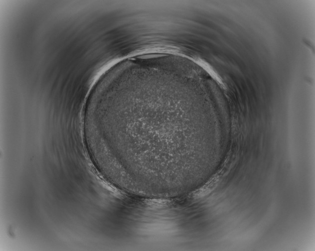 X0000096630854200802191154