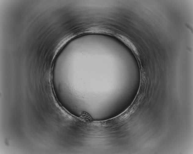 X0000096630855200802191154