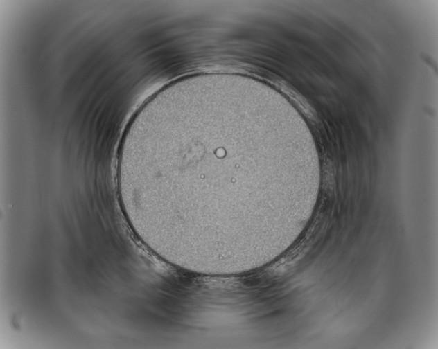 X0000096630856200802191154