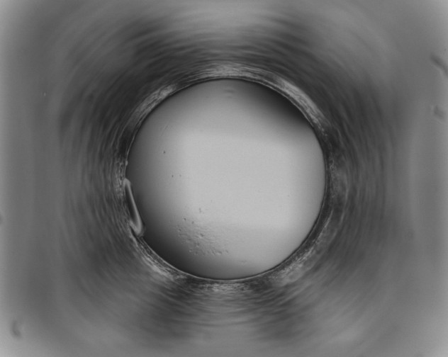 X0000096630857200802191154