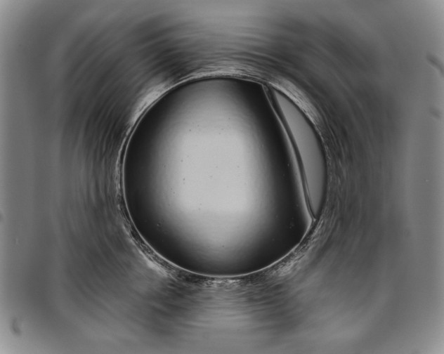 X0000096630858200802191154