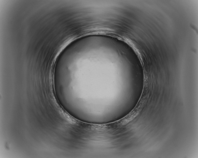X0000096630859200802191154