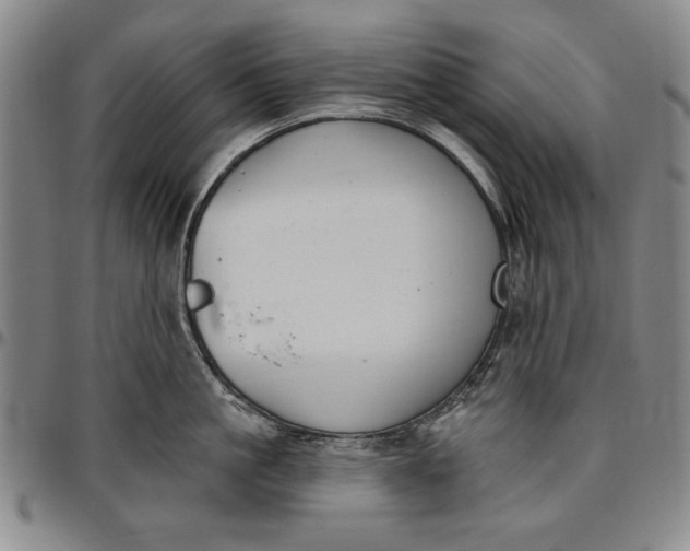 X0000096630861200802191155