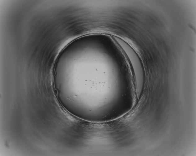 X0000096630862200802191155