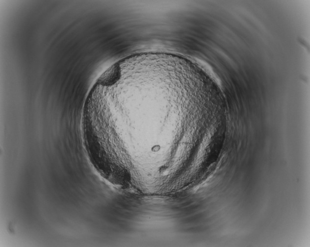 X0000096630863200802191155