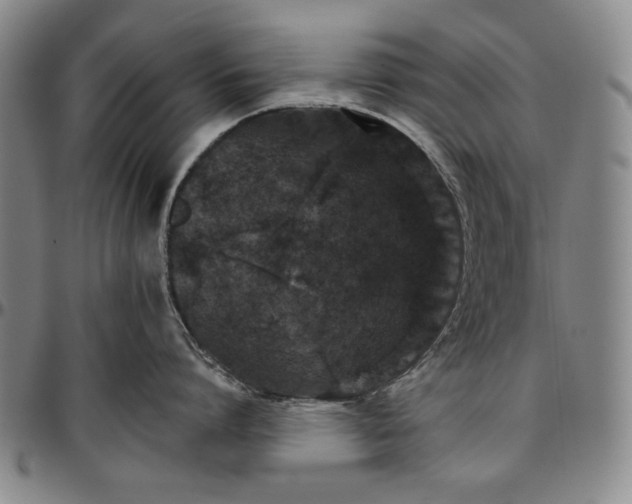 X0000096630864200802191155