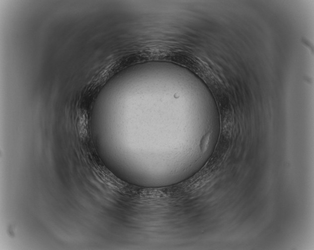 X0000096630866200802191154