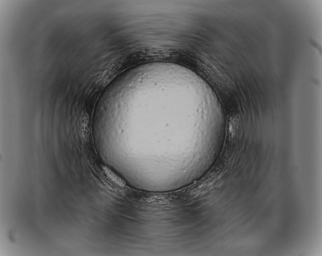 X0000096630867200802191154