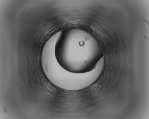 X0000096630868200802191154