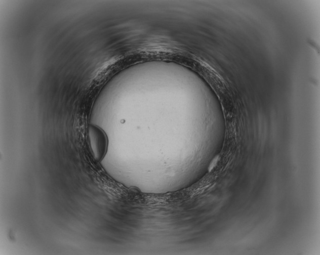 X0000096630870200802191154
