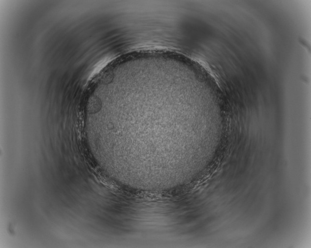 X0000096630871200802191154