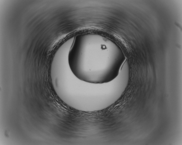 X0000096630872200802191154