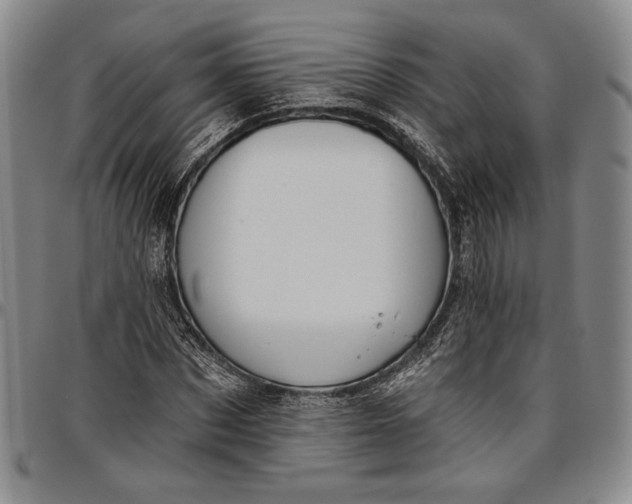 X0000096630873200802191154